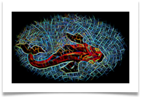 glow mosaic fish 1  - Richard Nicholls